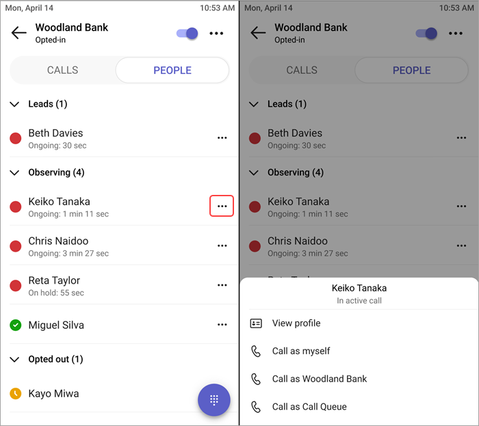 Screenshot showing the Calls menu in queues app