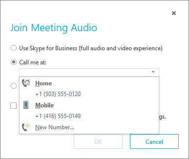 Choose the phone number for meeting audio