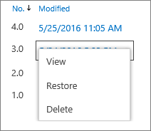 Version history options (view, restore, delete)
