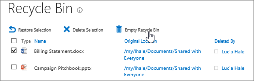 Empty the recycle bin of all items