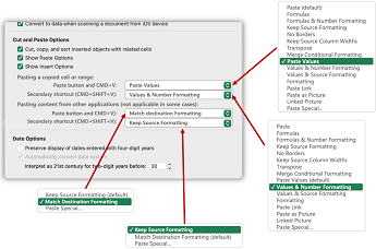 Windows paste options 2