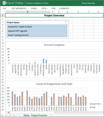 The Project Overview workbook gives task complete information for your projects